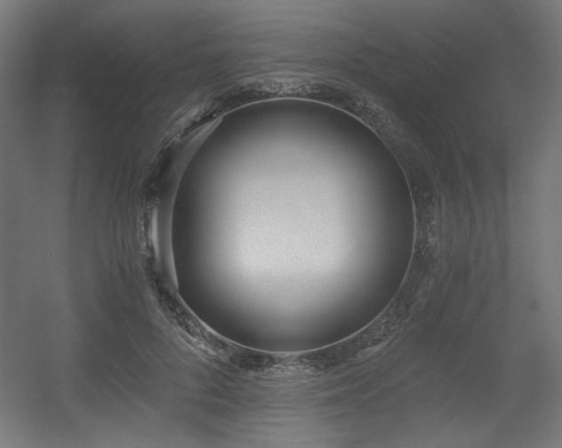 X0000056360696200508291345