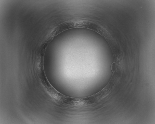 X0000056360698200508291345