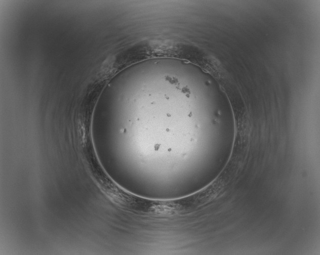 X0000056360703200508291344