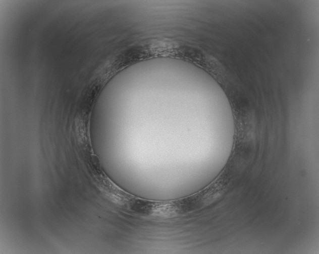 X0000056360705200508291344