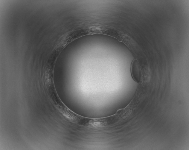 X0000056360706200508291344