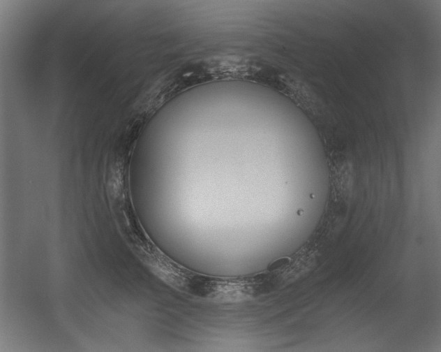 X0000056360709200508291344