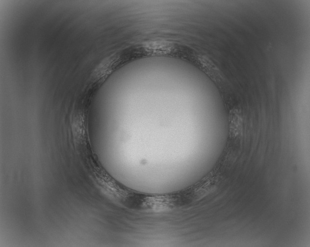 X0000056360713200508291344