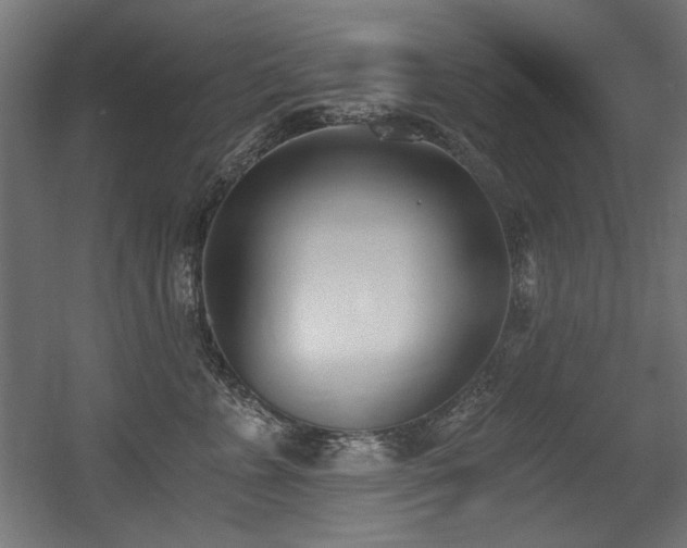 X0000056360715200508291344