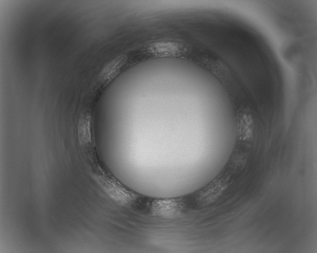 X0000056360717200508291344