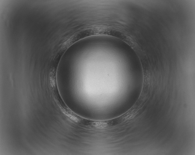 X0000056360719200508291344