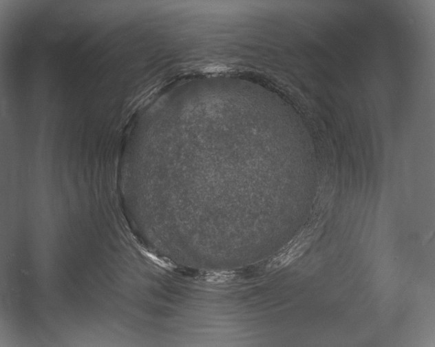 X0000056360720200508291344