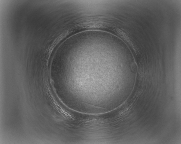 X0000056360721200508291343
