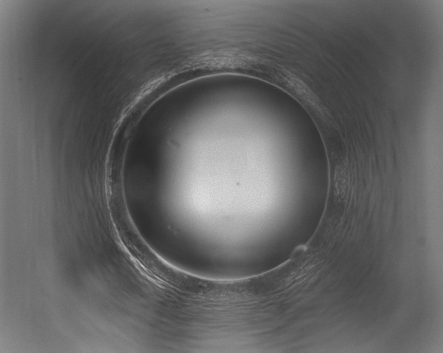X0000056360722200508291343