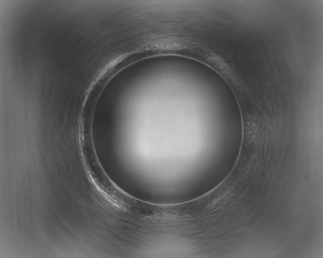 X0000056360726200508291343