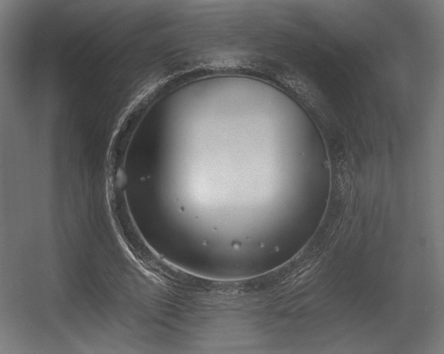 X0000056360728200508291343