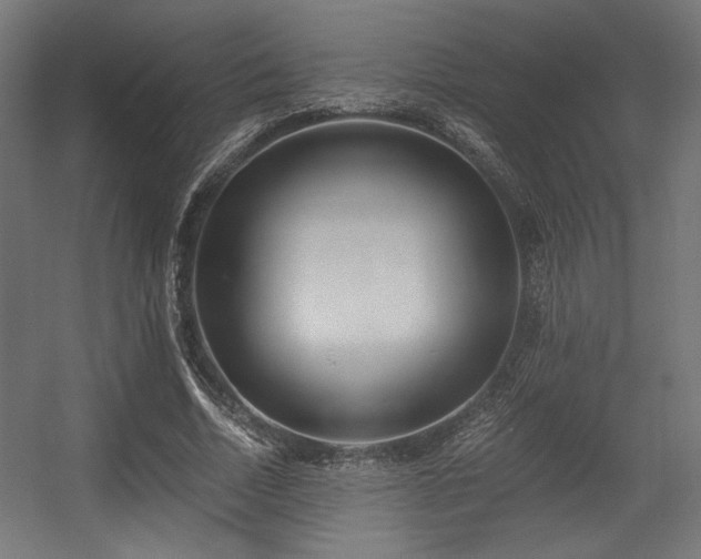 X0000056360730200508291343