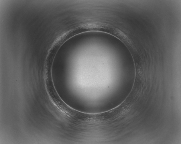 X0000056360732200508291344