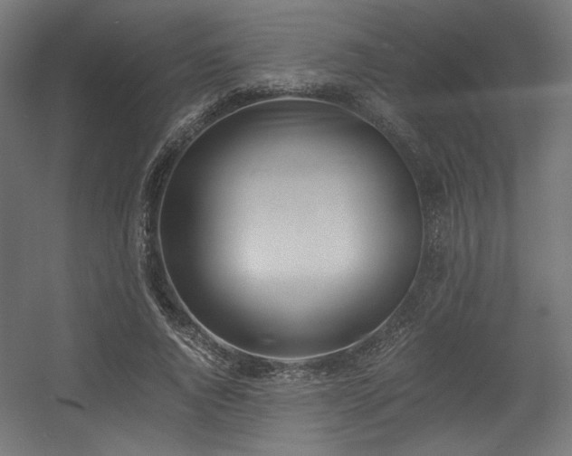 X0000056360736200508291344