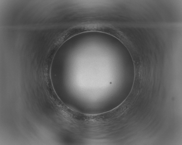 X0000056360737200508291344