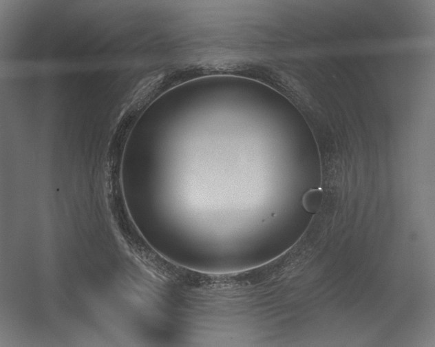 X0000056360738200508291344