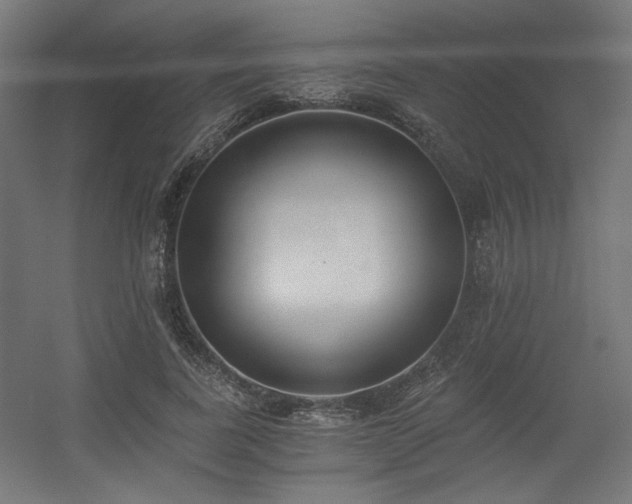 X0000056360739200508291344