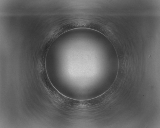 X0000056360743200508291344