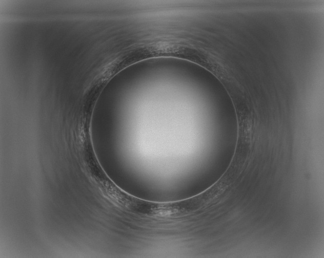 X0000056360746200508291344