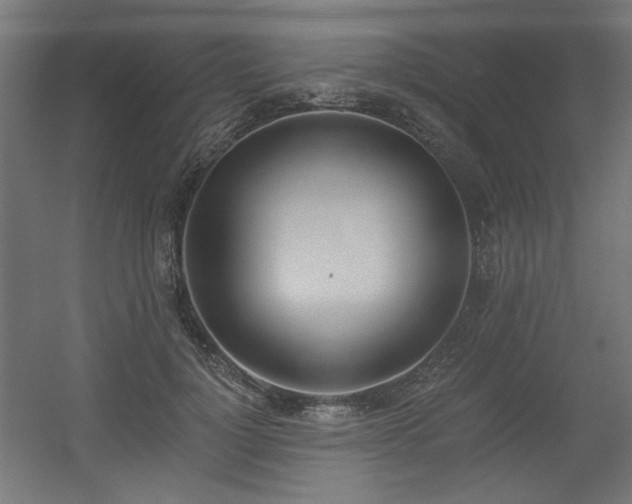 X0000056360748200508291344