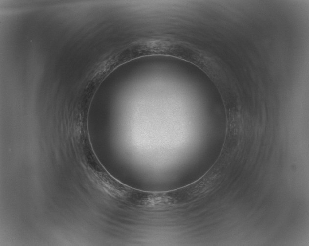 X0000056360752200508291344