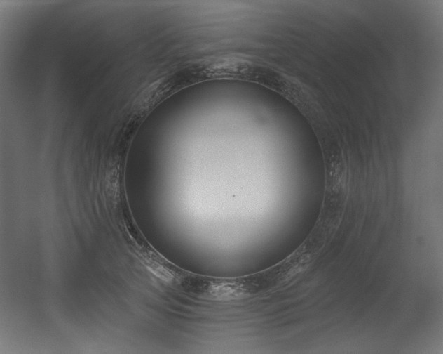 X0000056360753200508291344