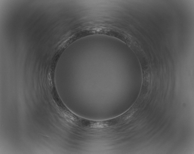 X0000056360754200508291344