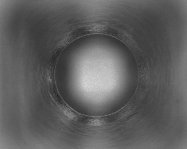 X0000056360755200508291344