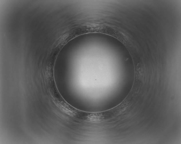 X0000056360756200508291344