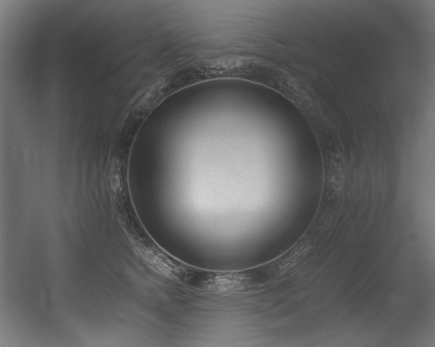 X0000056360758200508291344