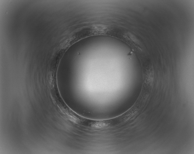 X0000056360759200508291344