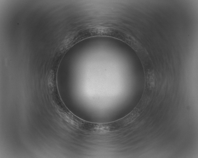 X0000056360760200508291344