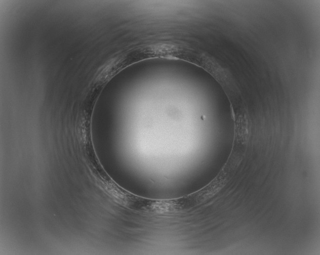 X0000056360762200508291344