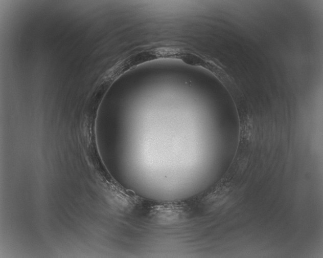 X0000056360763200508291344