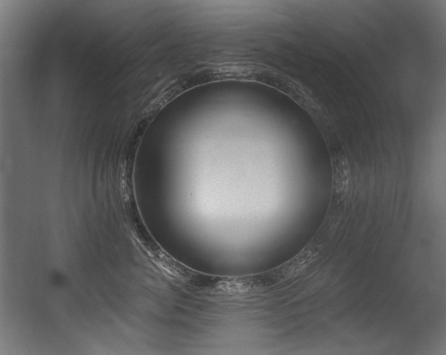 X0000056360764200508291344