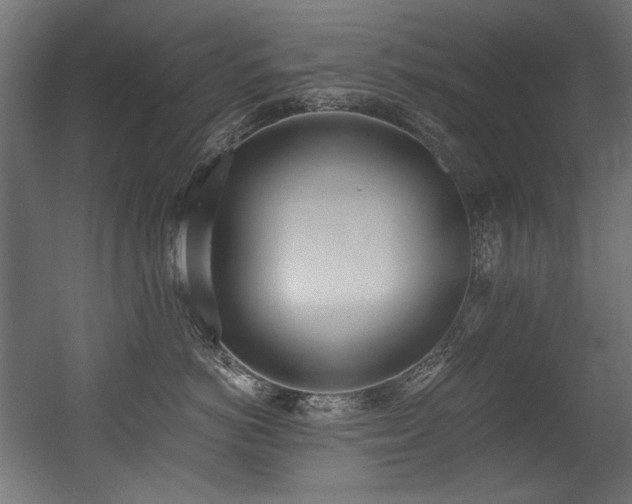 X0000056360766200508291344