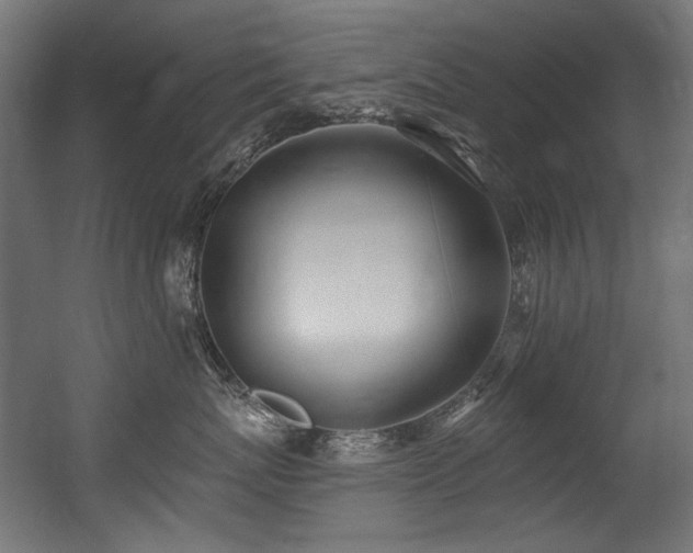 X0000056360767200508291344