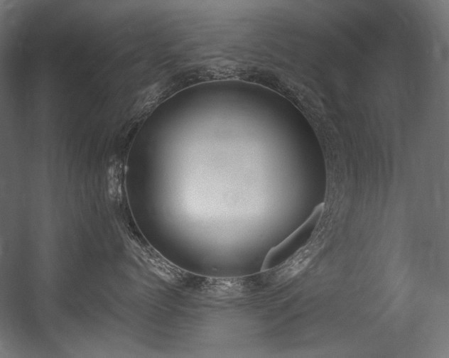 X0000056360768200508291344