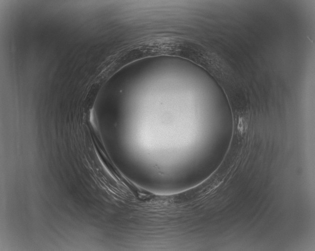 X0000056360771200508291343