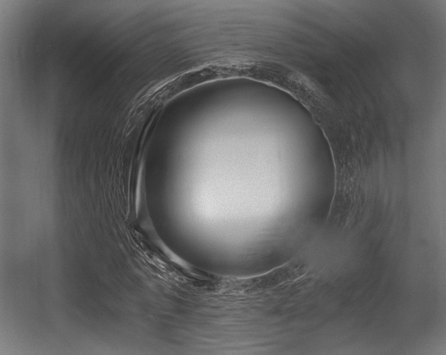 X0000056360773200508291343