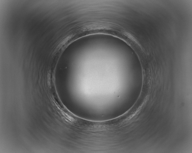 X0000056360777200508291343