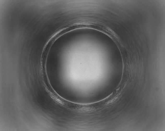 X0000056360779200508291343