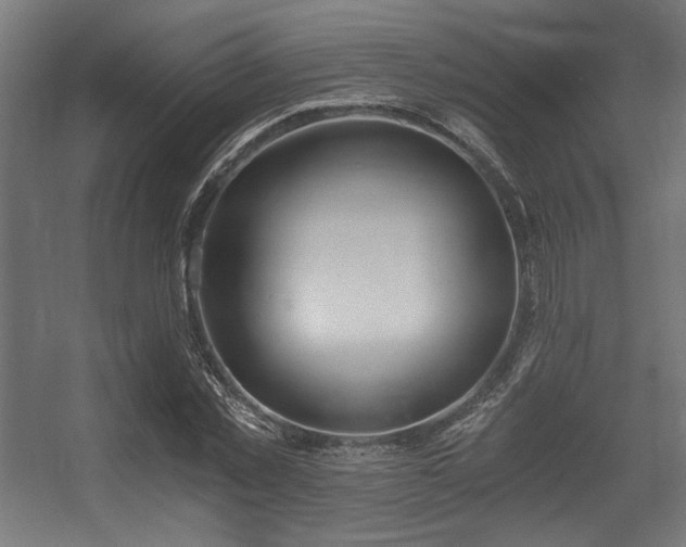 X0000056360781200508291343