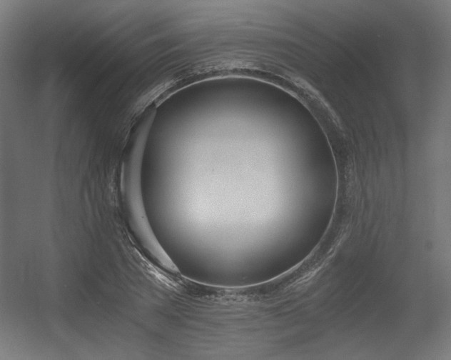 X0000056360785200508291343