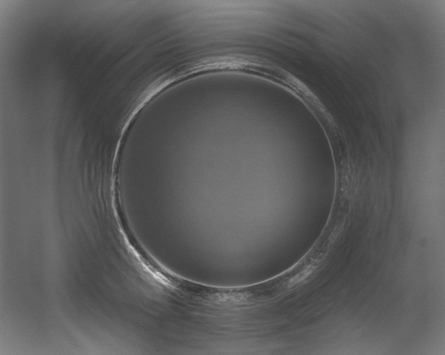 X0000056360802200508291343