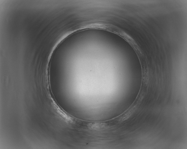 X0000056360808200508291343