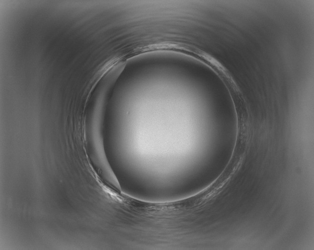 X0000056360809200508291343