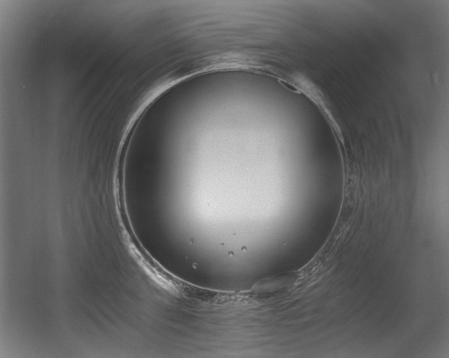 X0000056360811200508291343