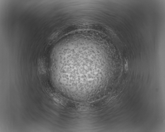 X0000056360819200508291342