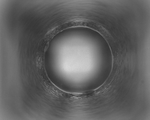 X0000056360821200508291342